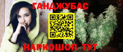 гашик Гатчина