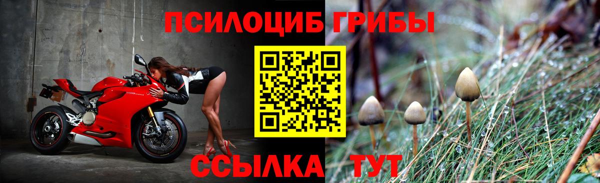 Полевской  Галлюциногенные грибы MAGIC MUSHROOMS  Вход с VPN 